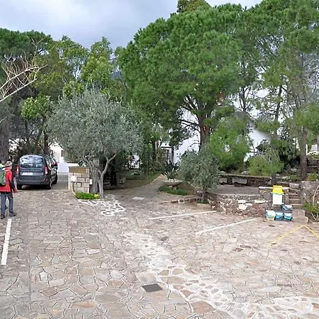 L'oasi