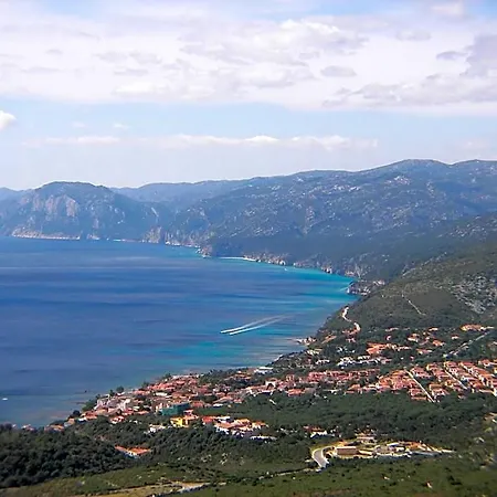 L'oasi 3*